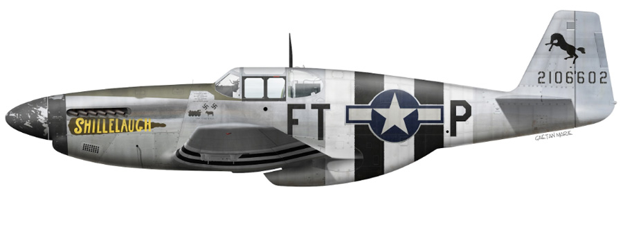 P-561B-10NA 42-106602 nose art. Shillelaugh originally had nose art that represented a club behind the name, as shown in this profile drawing with the name spelled Shillelaugh. Over the night of June 5, 1944, 1944 full D-Day invasion stripes were applied. Profile illustration by Gaetan Marie