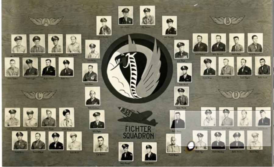 353rd Fighter Squadron pilot board. This image can be more easily examined and selectively enlarged on the 354th Fighter Group website: http://www.354thpmfg.com/history_pt1_353rdfs.html, accessed 11-9-2021
